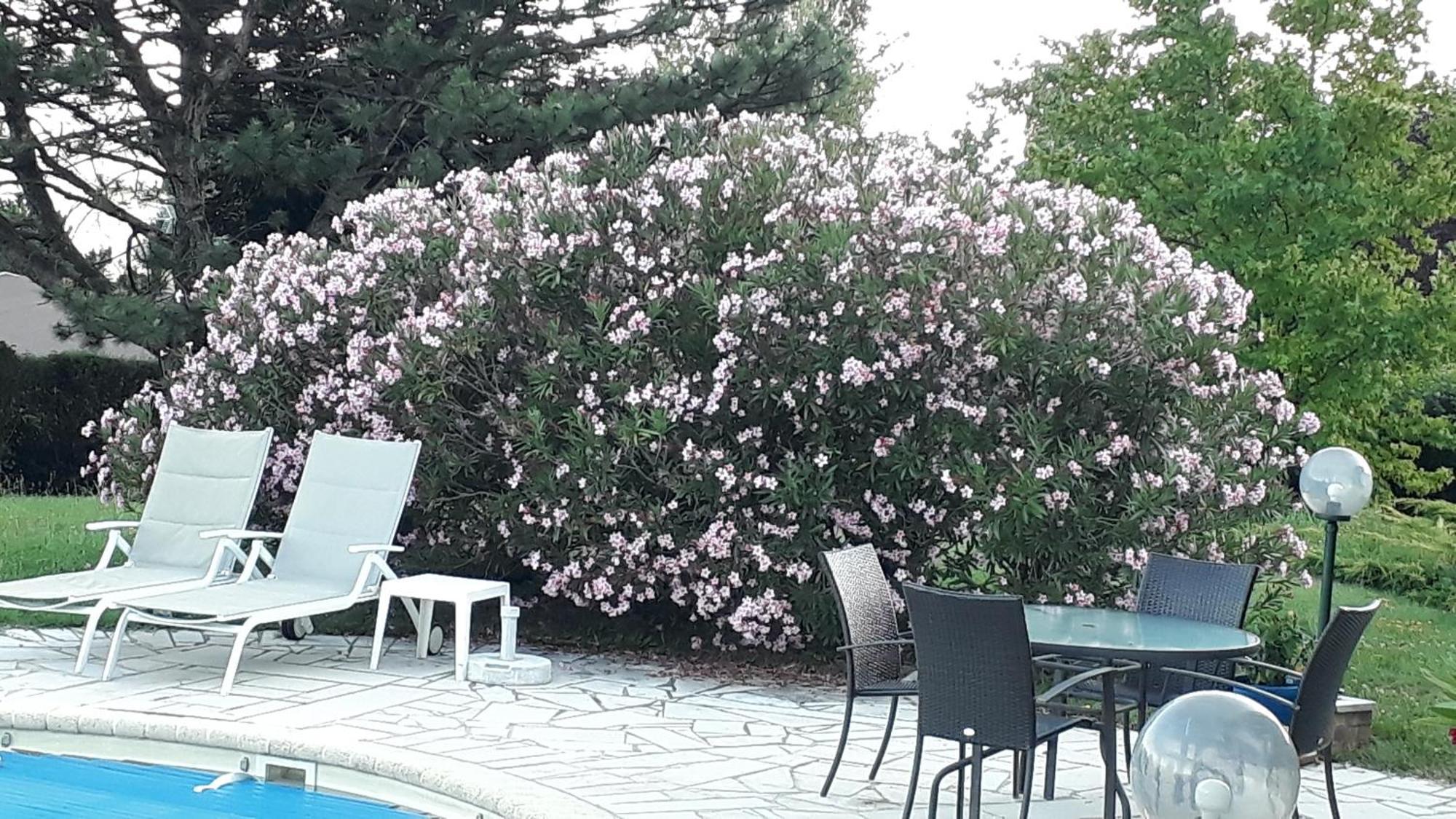 Villa Avec Vue Biviers 외부 사진